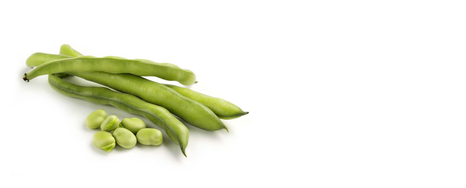 Broad Beans IMAGE