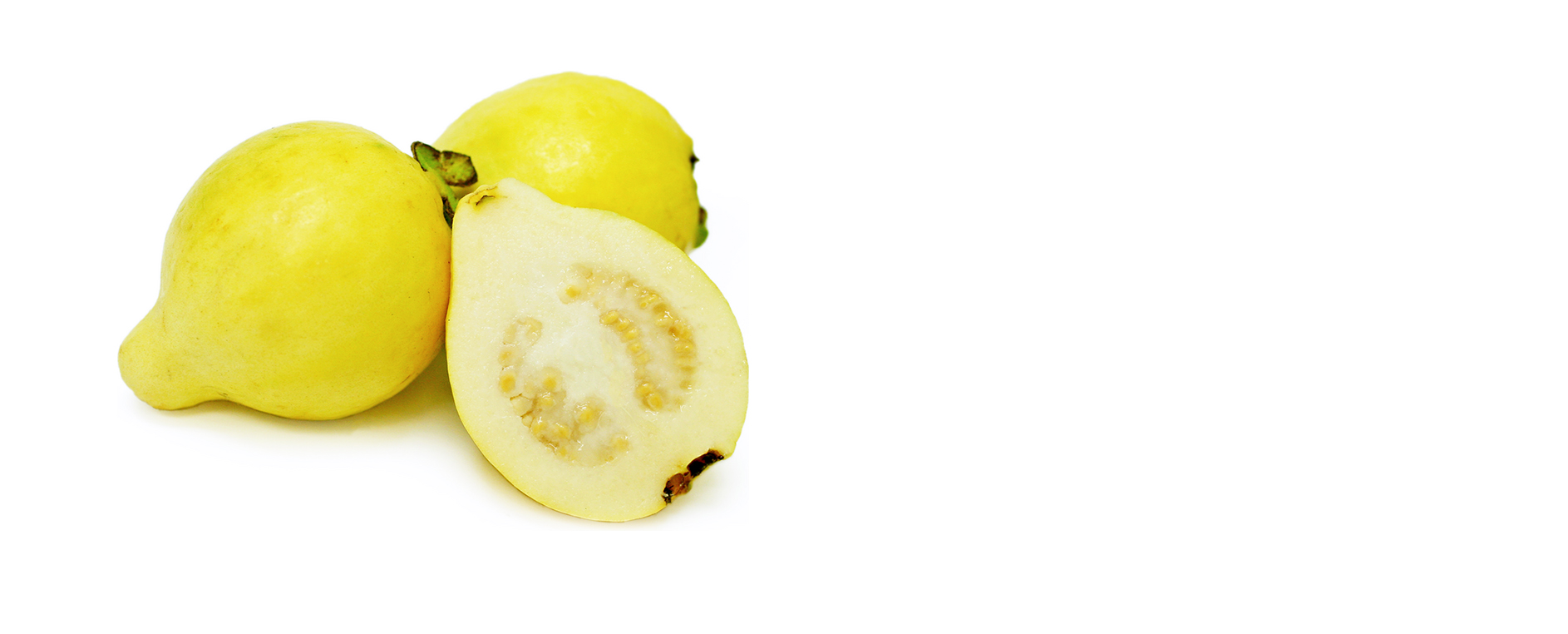 guava image